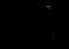 /img/posts/2021/08/watford-doge-240x172.jpg