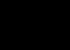 /img/posts/2021/09/09062021-arizona-ap-773-240x172.jpg