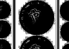 /img/posts/2021/09/bch56444-240x172.jpg