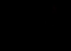 /img/posts/2021/09/bill-miller-fund-240x172.jpg