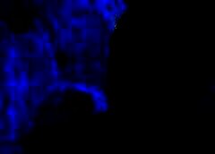 /img/posts/2021/09/bis-240x172.jpg