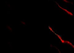 /img/posts/2021/09/cb1a-240x172.jpg