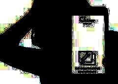 /img/posts/2021/09/chivo-240x172.jpg