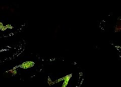/img/posts/2021/09/crypto-economy-gains-83-in-value-over-the-last-3-months-myriad-of-lesser-known-coins-spike-240x172.jpg