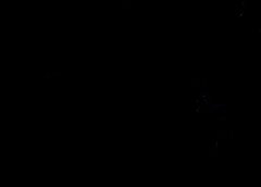 /img/posts/2021/09/frothy-240x172.jpg