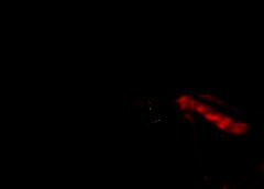 /img/posts/2021/09/gettyimages-1336326698-c-240x172.jpg