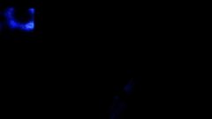 /img/posts/2021/09/novogratz-240x172.jpg
