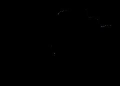 /img/posts/2021/09/philv-240x172.jpg