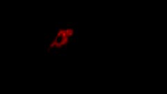 /img/posts/2021/09/shutterstock_1148552330-240x172.jpg