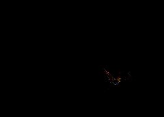 /img/posts/2021/09/shutterstock_1187665627-240x172.jpg