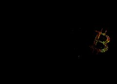 /img/posts/2021/09/shutterstock_1454831462-240x172.jpg
