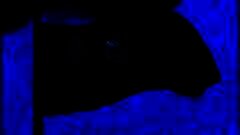 /img/posts/2021/09/shutterstock_156003416-240x172.jpg