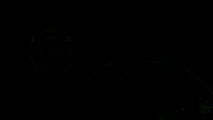 /img/posts/2021/09/shutterstock_1960385449-240x172.jpg