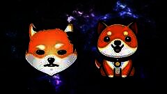 /img/posts/2021/10/as-doge-shib-markets-fall-back-baby-doge-coin-and-dogelon-mars-prices-skyrocket-240x172.jpg