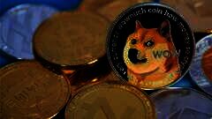 /img/posts/2021/10/dogessddf-240x172.jpg