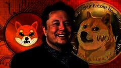 /img/posts/2021/10/musk-240x172.jpg