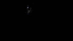 /img/posts/2021/10/pimco-240x172.jpg