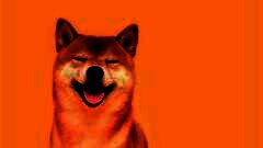/img/posts/2021/10/shiba-inu-soars-knocking-dogecoin-down-a-notch-20-holders-own-75-of-the-shib-supply-240x172.jpg