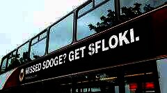 /img/posts/2021/11/floki-240x172.jpg