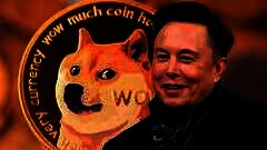 /img/posts/2021/11/musk-doge-binance-240x172.jpg