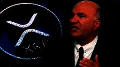 /img/posts/2021/11/oleary-ripple-240x172.jpg