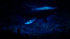 /img/posts/2021/11/whalesss40-240x172.jpg