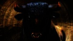 /img/posts/2021/12/bull-240x172.jpg