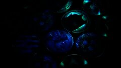 /img/posts/2021/12/gains-240x172.jpg