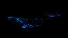 /img/posts/2021/12/monster-sized-bitcoin-whale-transfers-blockchain-parser-catches-significant-amounts-of-cold-btc-moved-to-active-exchanges-240x172.jpg