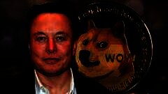 /img/posts/2021/12/pro-doge-240x172.jpg