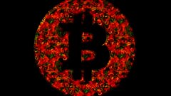 /img/posts/2021/12/tokenized-bitcoin-in-circulation-nears-a-half-million-btc-bitcoin-pegged-token-value-exceed-21-billion-240x172.jpg